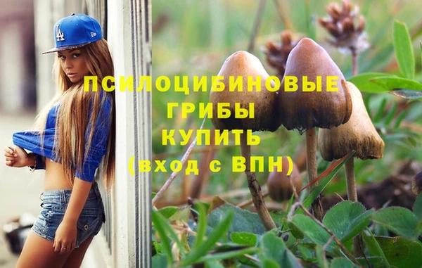 кокаин колумбия Краснослободск