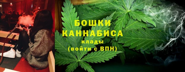 PSILOCYBIN Кулебаки