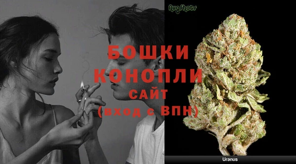 PSILOCYBIN Кулебаки