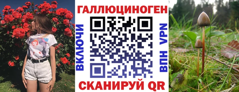 Галлюциногенные грибы ЛСД  купить наркотик  Екатеринбург 
