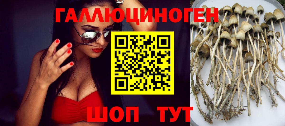 Псилоцибиновые грибы Cubensis Екатеринбург
