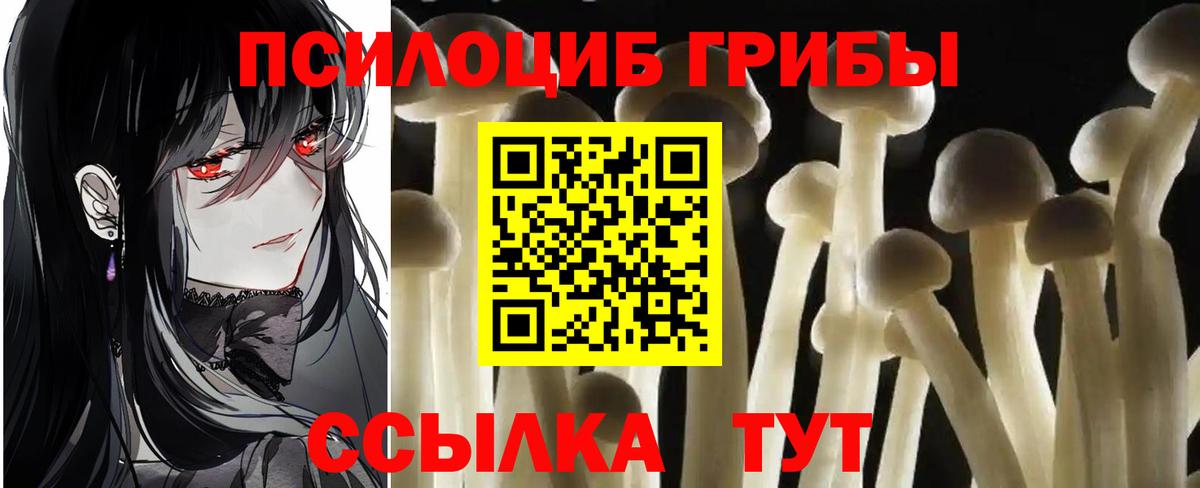 Псилоцибиновые грибы Magic Shrooms  Екатеринбург 