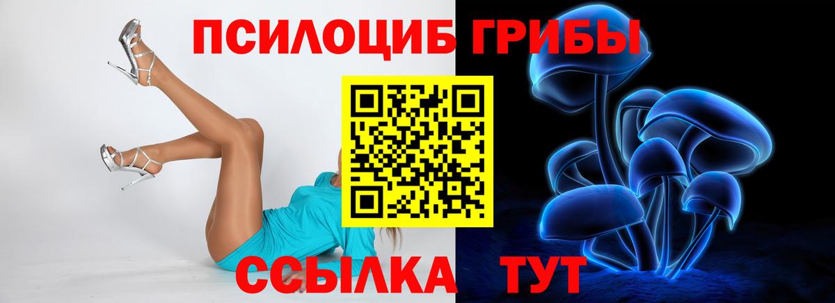 Псилоцибиновые грибы MAGIC MUSHROOMS Екатеринбург